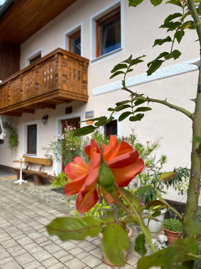 Guesthouse Sabine - Pr' Skminc Bohinjska Bela Exterior photo