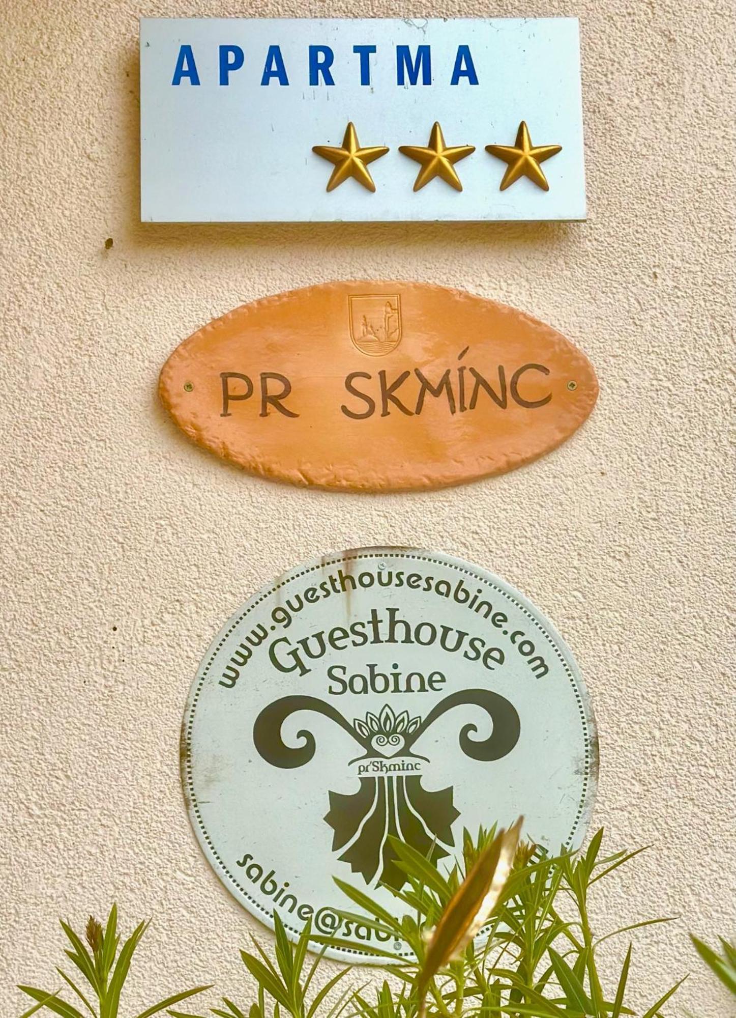 Guesthouse Sabine - Pr' Skminc Bohinjska Bela Exterior photo